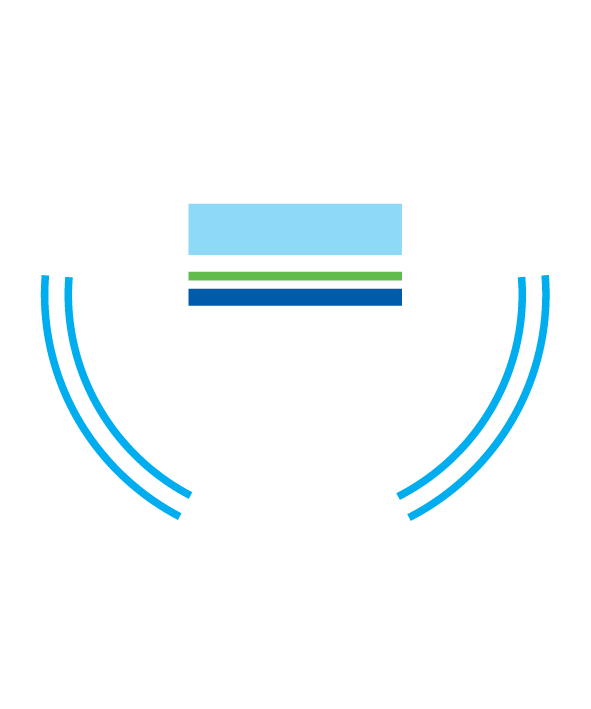 iso 9001 - logo dnv